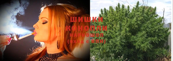 спиды Бронницы