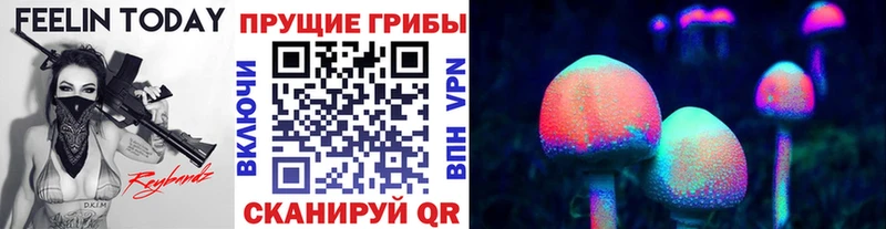 ссылка на мегу онион  где можно купить   Добрянка  Псилоцибиновые грибы Psilocybine cubensis 
